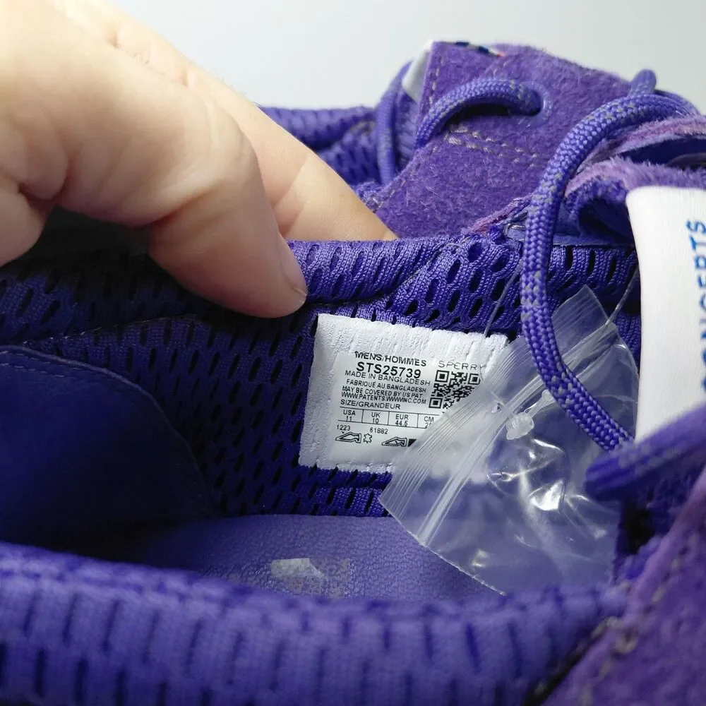 Sperry concepts eye